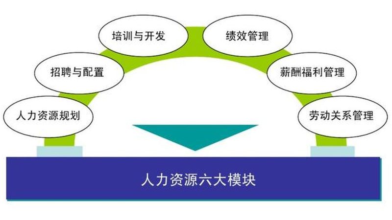 2025年劳务派遣转正政策解读：合规与实操要点**
